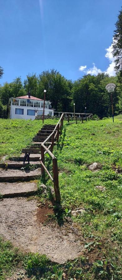 Cabana Cerbu Bozovici Exteriör bild