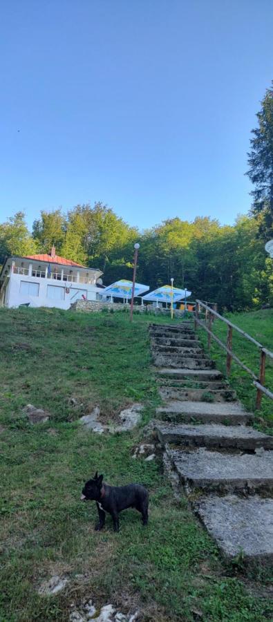 Cabana Cerbu Bozovici Exteriör bild