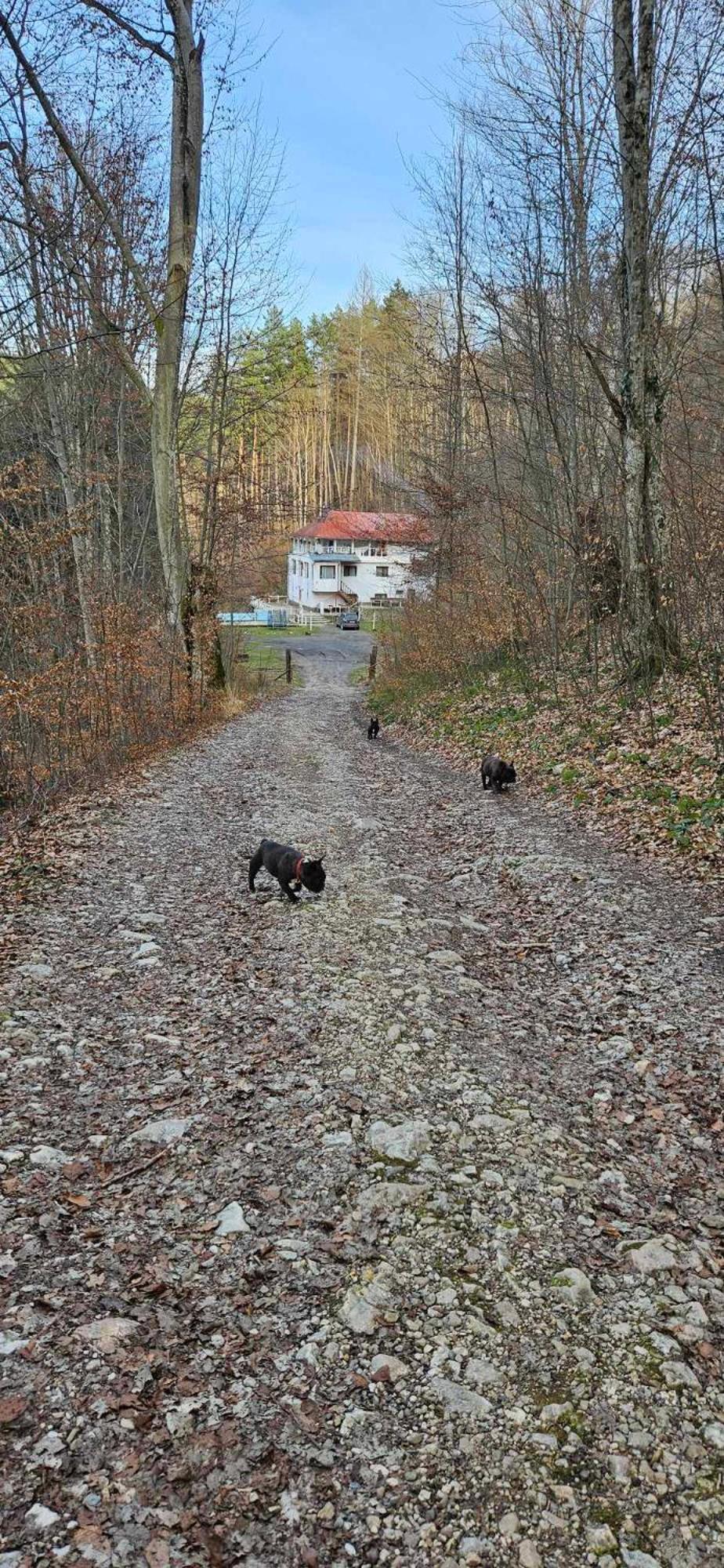 Cabana Cerbu Bozovici Exteriör bild